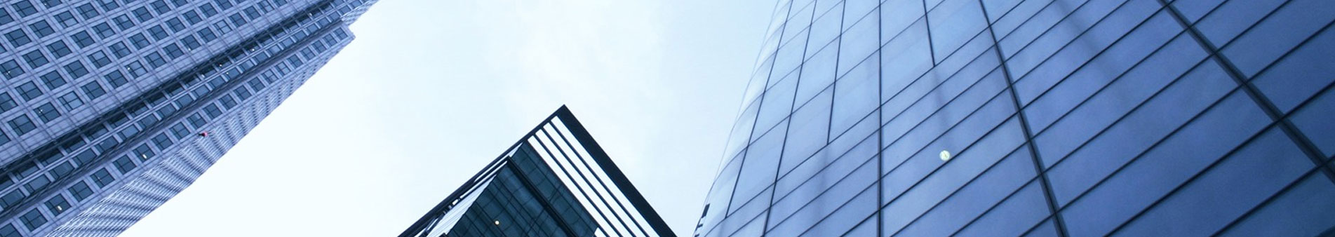 Company Profile